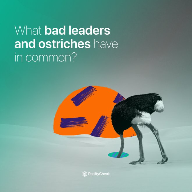 What bad leaders and ostriches have in common